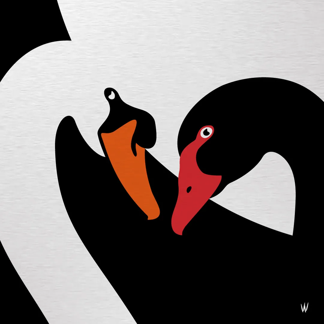 Swans