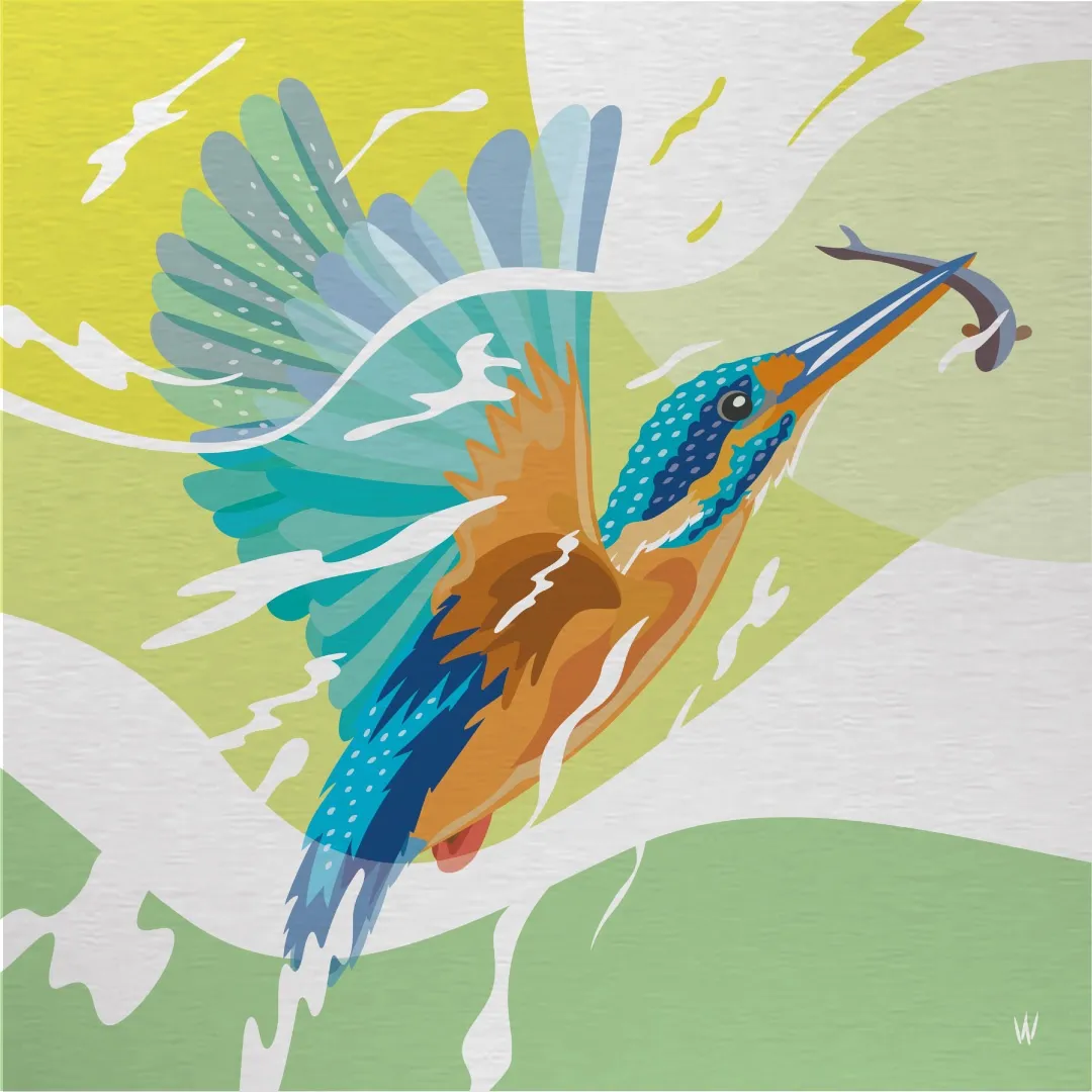 IJsvogel/ Kingfisher