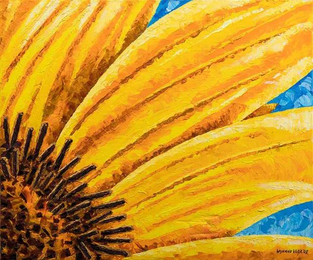 Sunflower