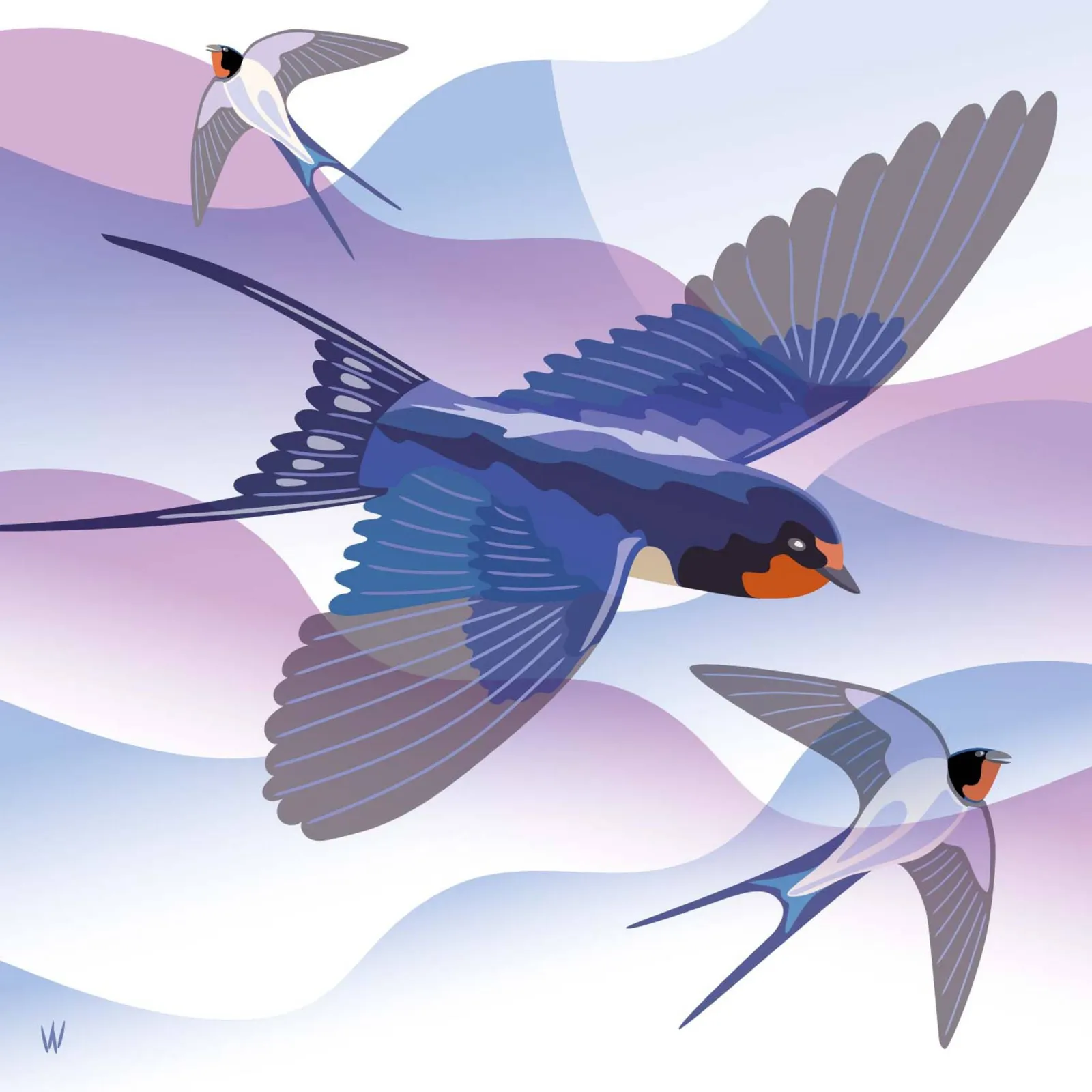 Barn Swallow Fun — Wijnand Vlok, digitale illustratie, fine art print