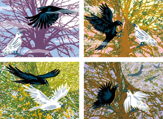 Raven Love