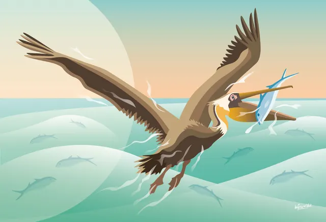 Pelican Dinner