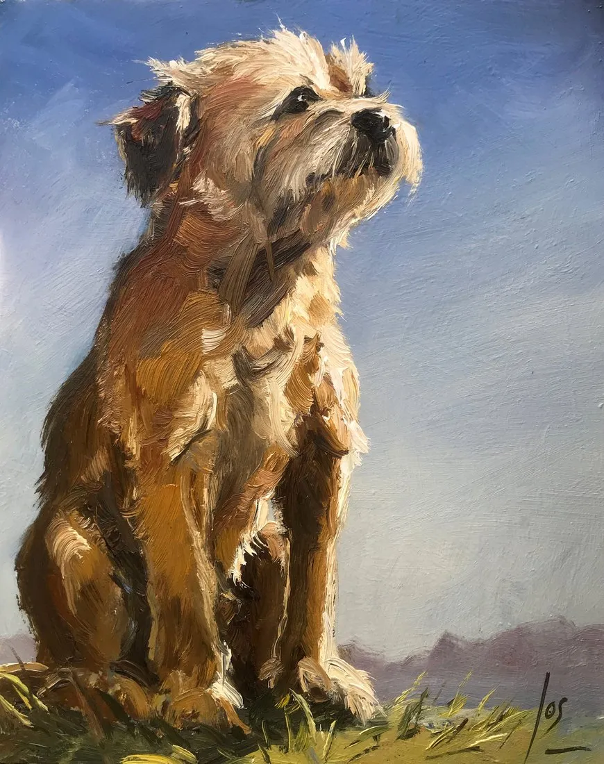 Border Terrier Jack — Jos Antens, olieverf op paneel