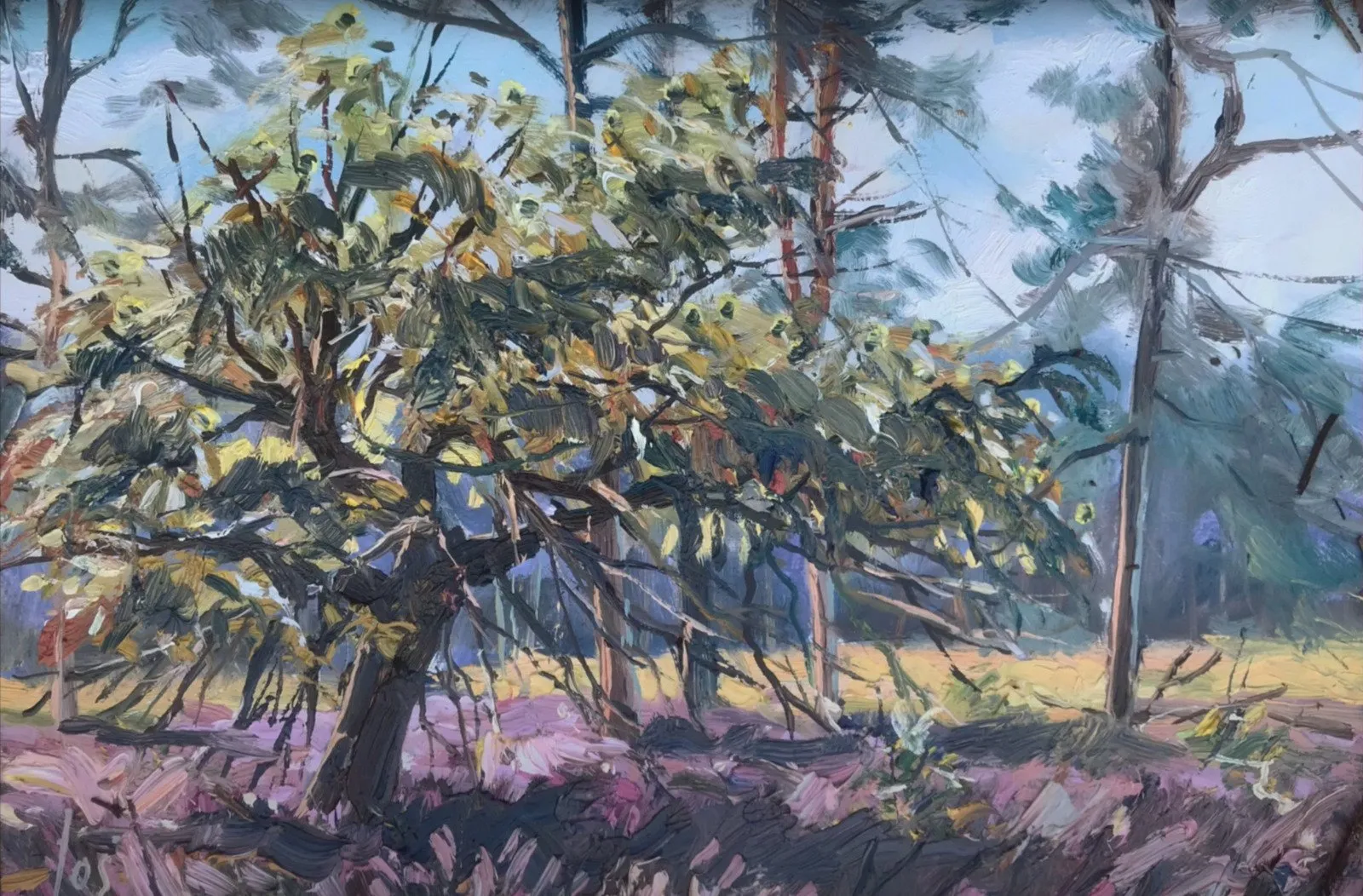 een kastanjeboom op de heide nabij het Rozenven — Jos Antens, olieverf op paneel