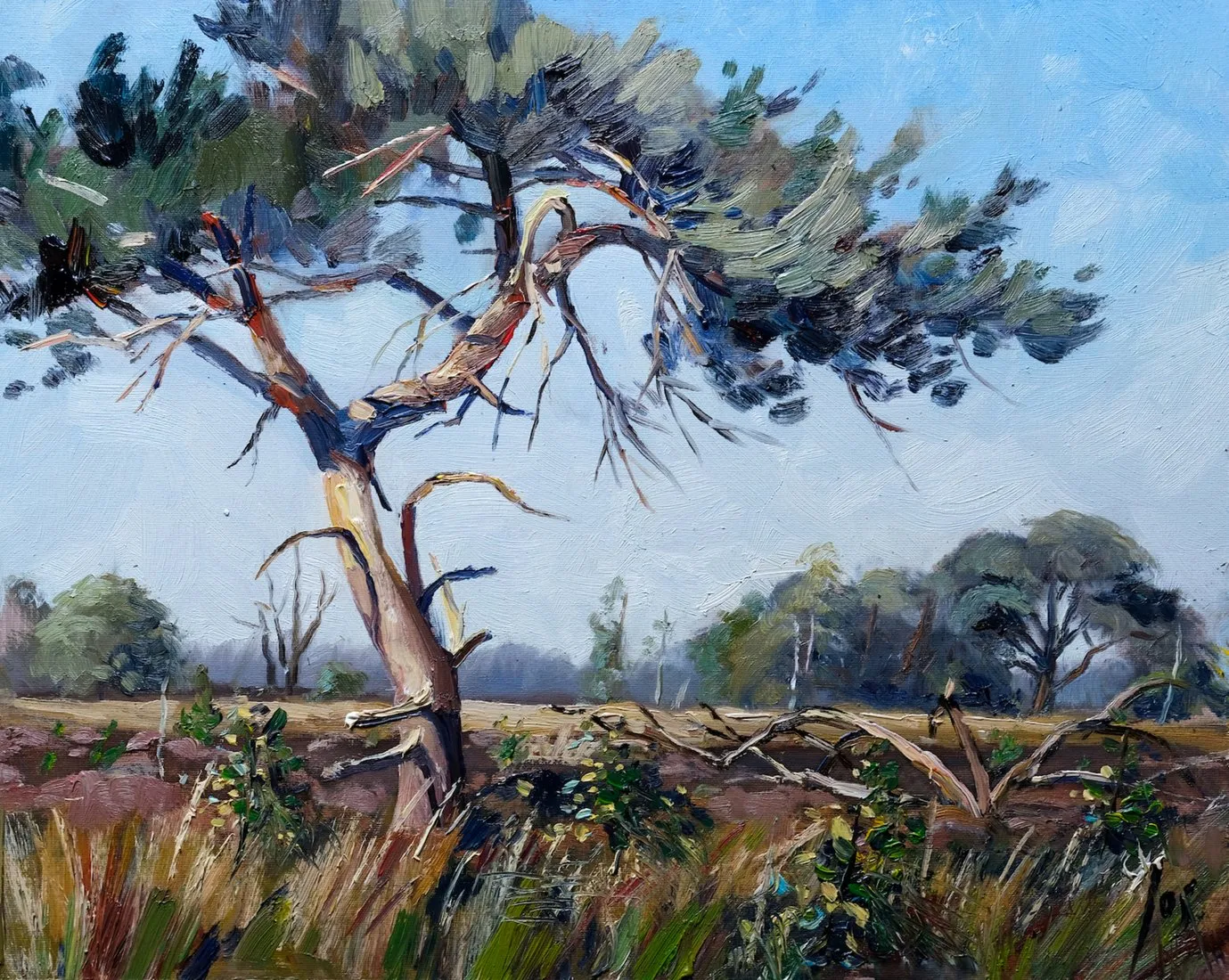 Den Kalmthoutse heide — Jos Antens, olieverf op paneel