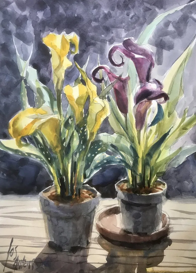 bloemen in aquarel — Jos Antens, aquarel