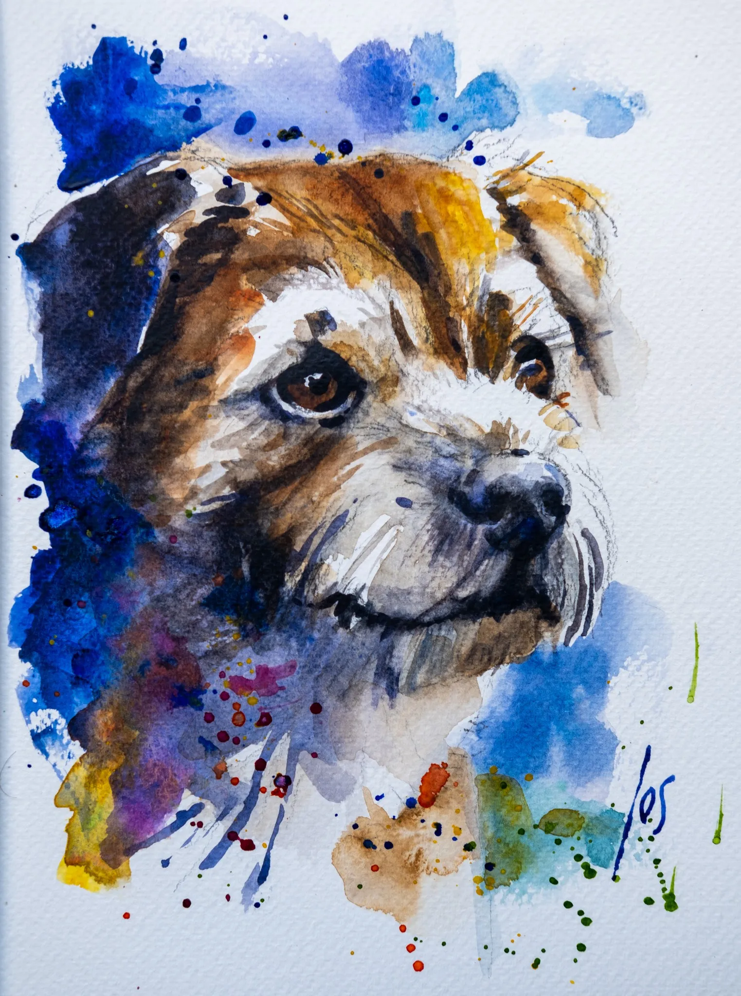 013 best friend JACK — Jos Antens, aquarel
