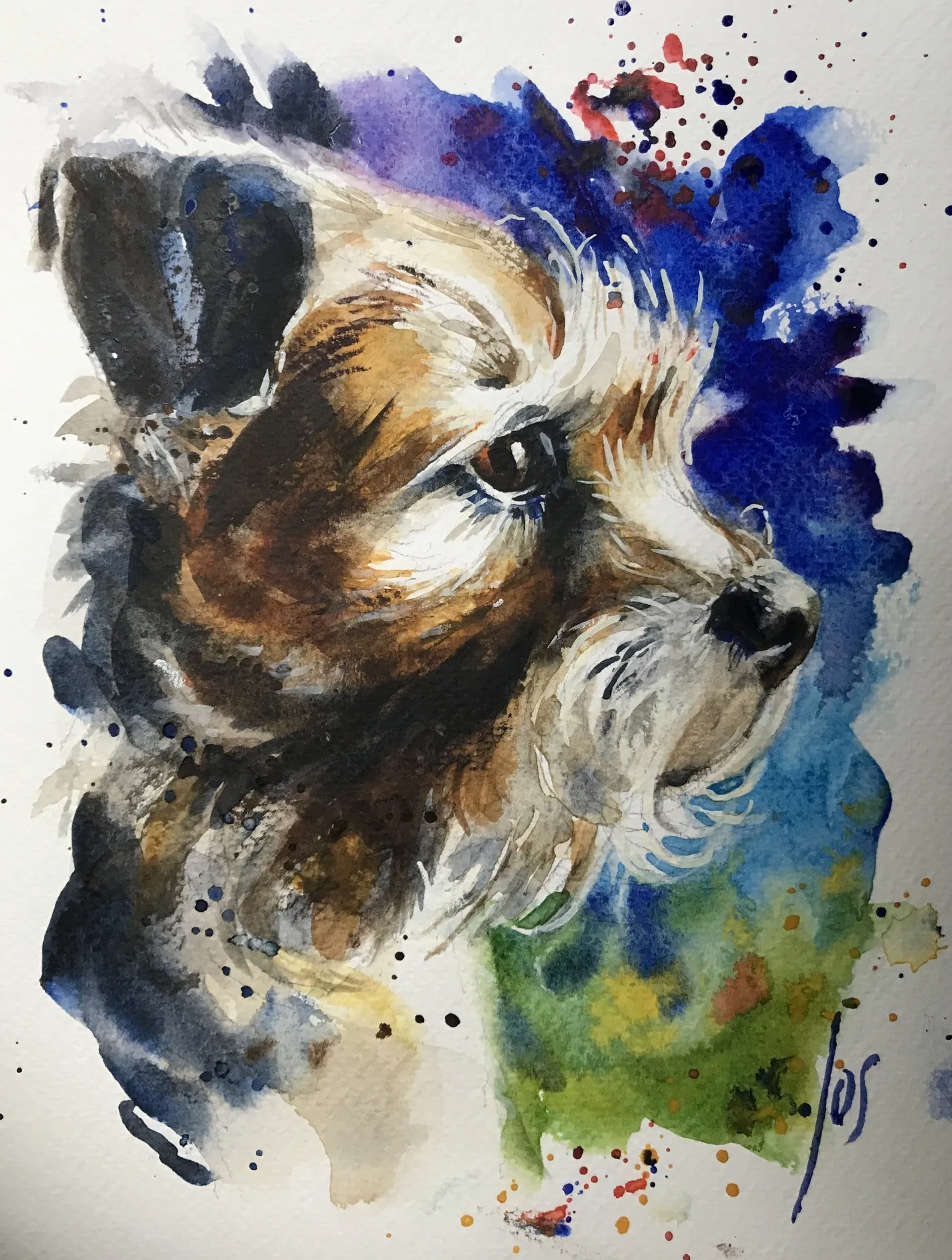 014 best friend JACK — Jos Antens, aquarel