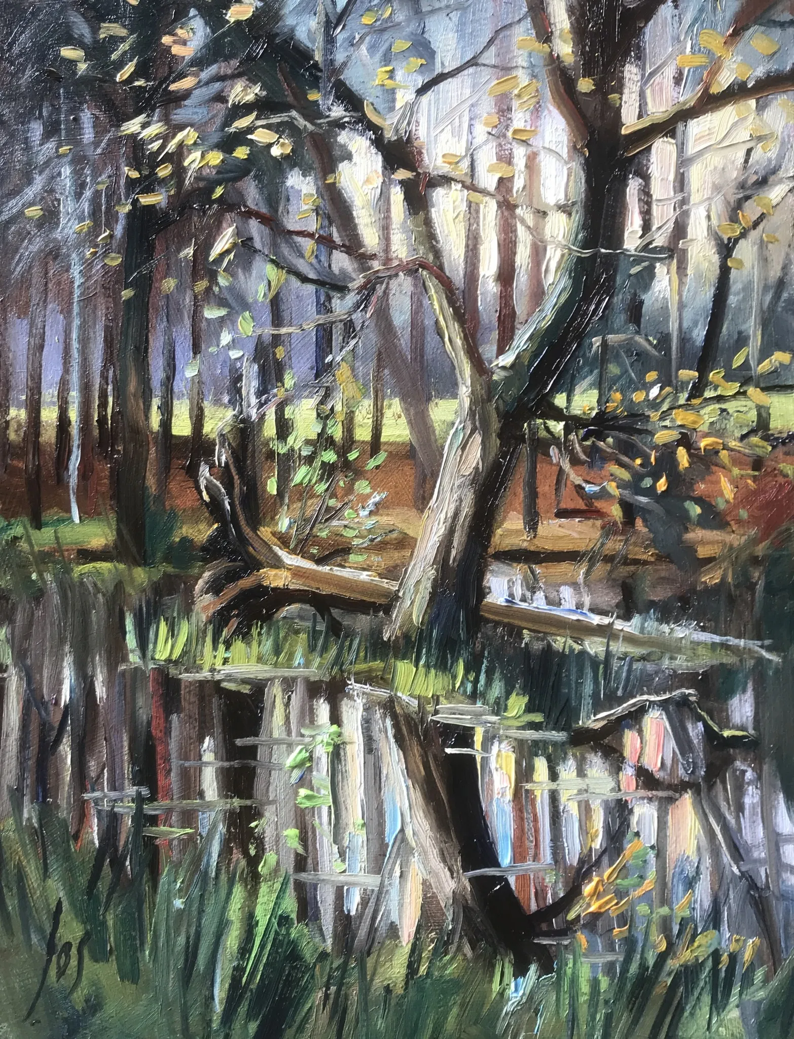 Boom in water — Jos Antens, olieverf op paneel