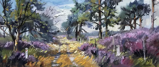 Kalmthoutse heide