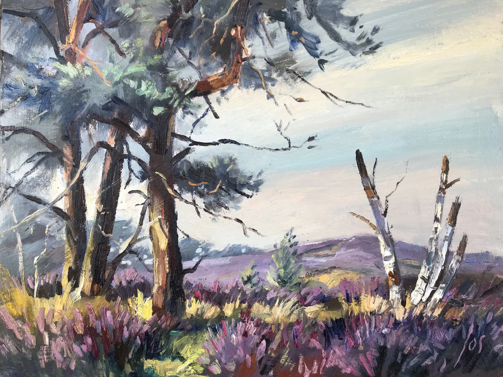 Kalmthoutse Heide in olieverf — Jos Antens, olieverf op paneel