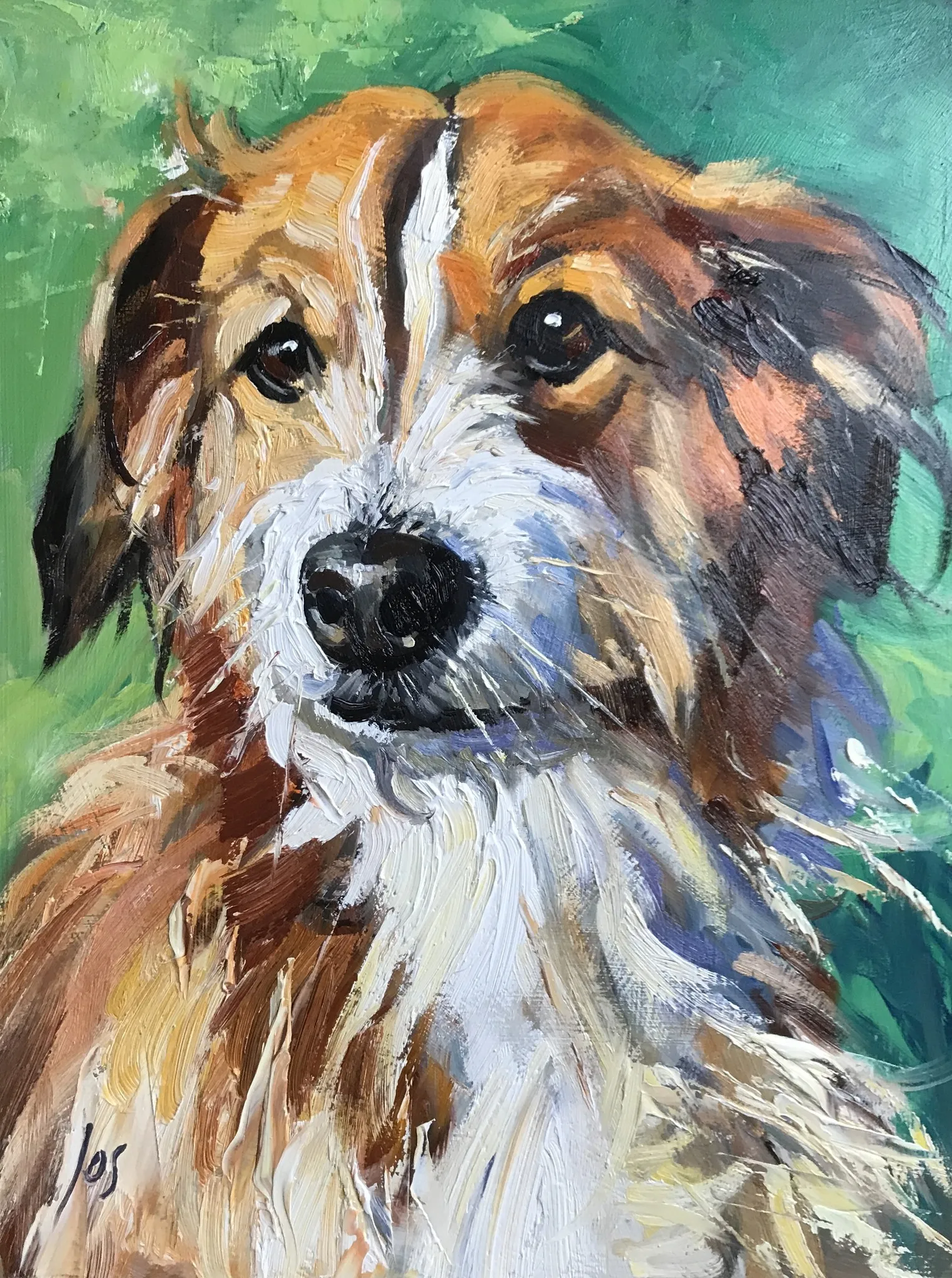 hond in opdracht — Jos Antens, olieverf op paneel