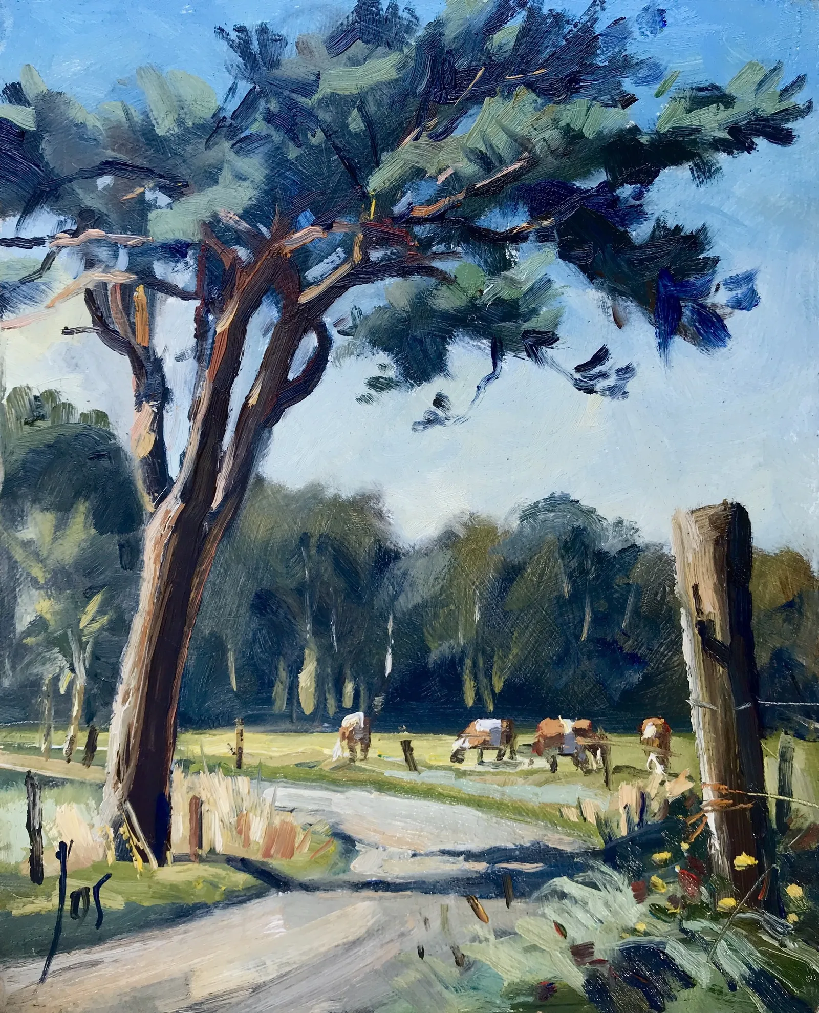 mooie boom richting Rozenven — Jos Antens, olieverf op paneel