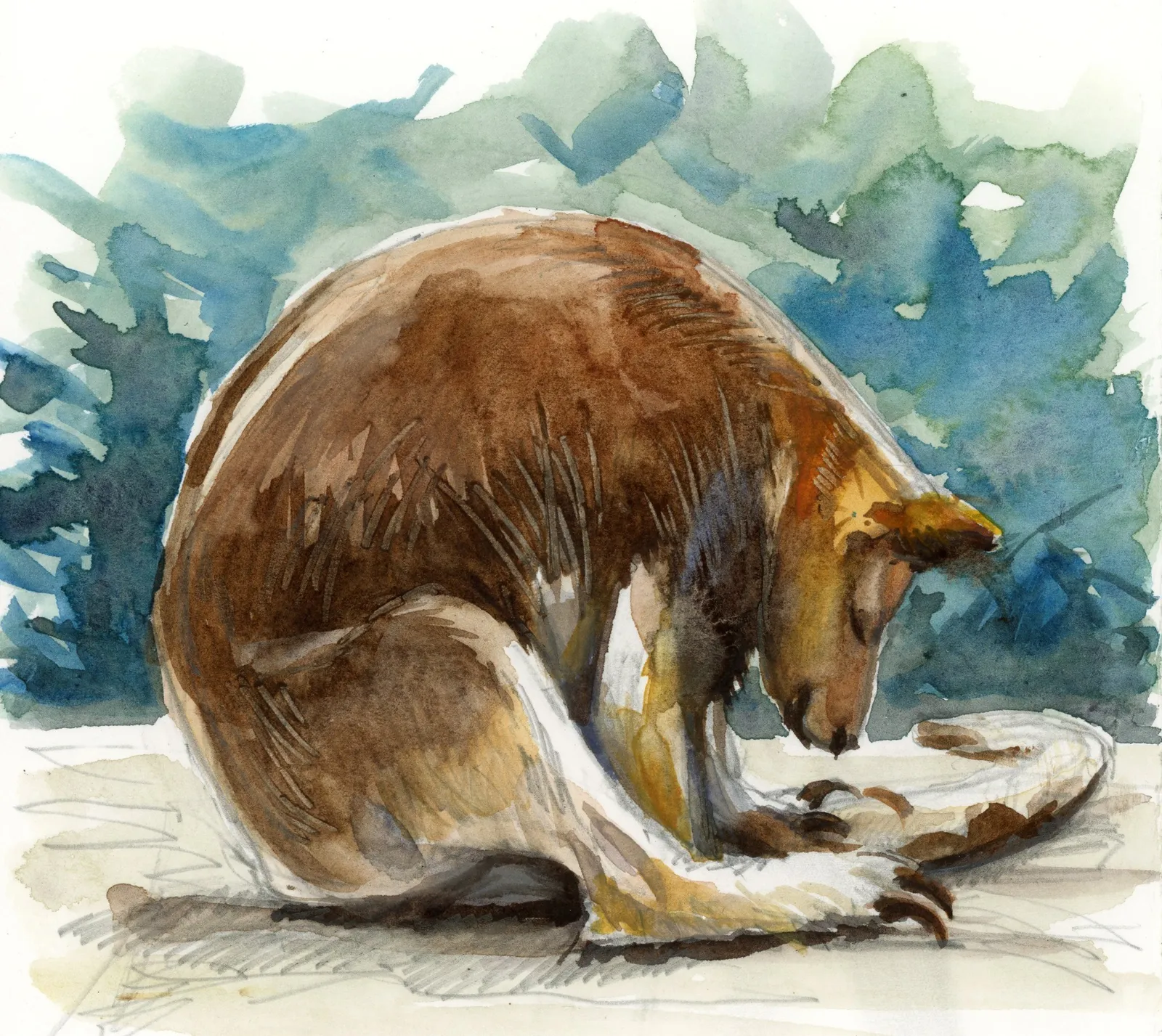 plezier beleven aan schetsen — Jos Antens, aquarel
