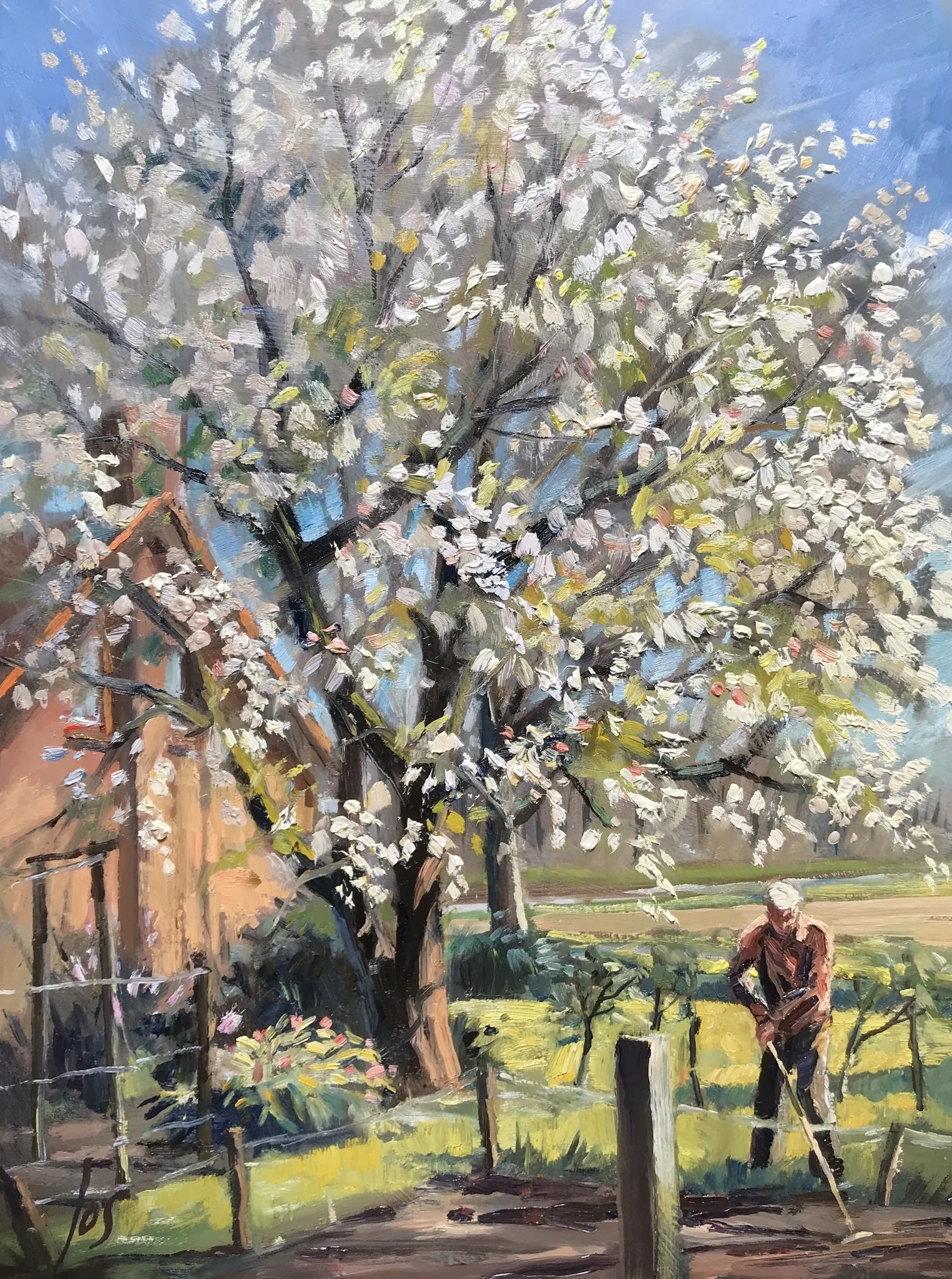 kersenbloesem in olieverf — Jos Antens, olieverf op paneel