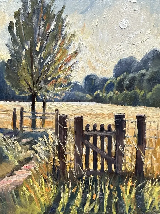 tegenlicht in Landerije