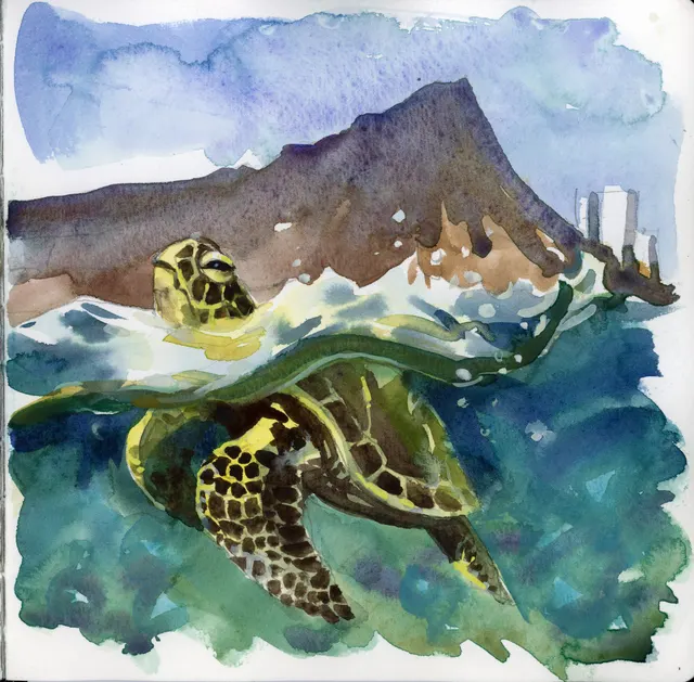 Schetsboek Hawaii