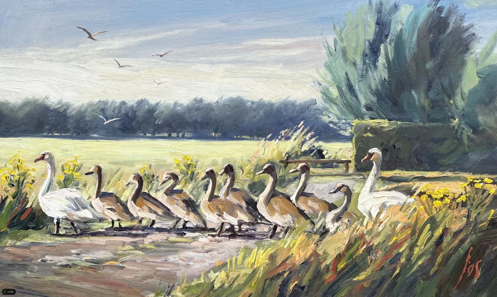 Zwanenfamilie — Jos Antens, olieverf op paneel