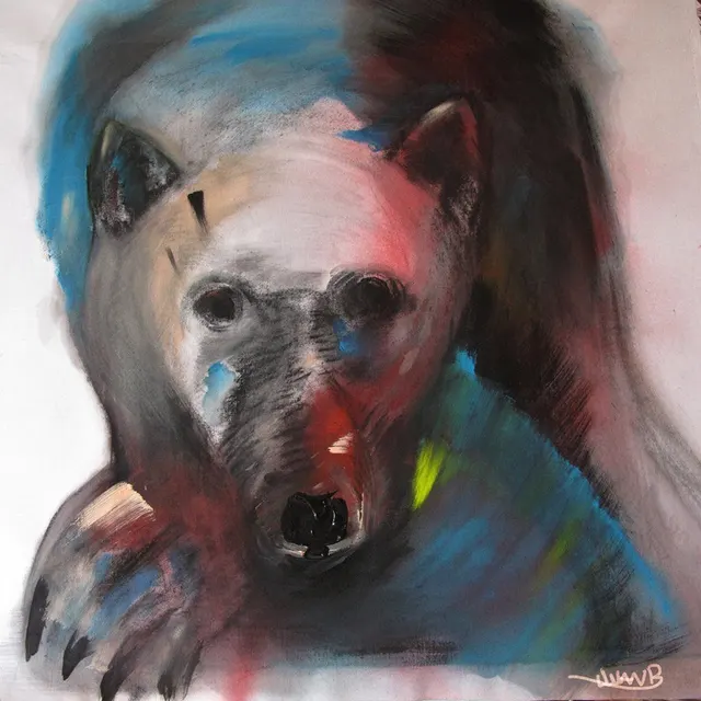 Polar bear, but he is gone