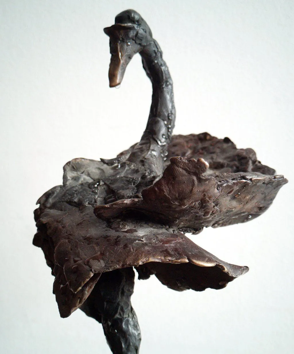 Swan (part)