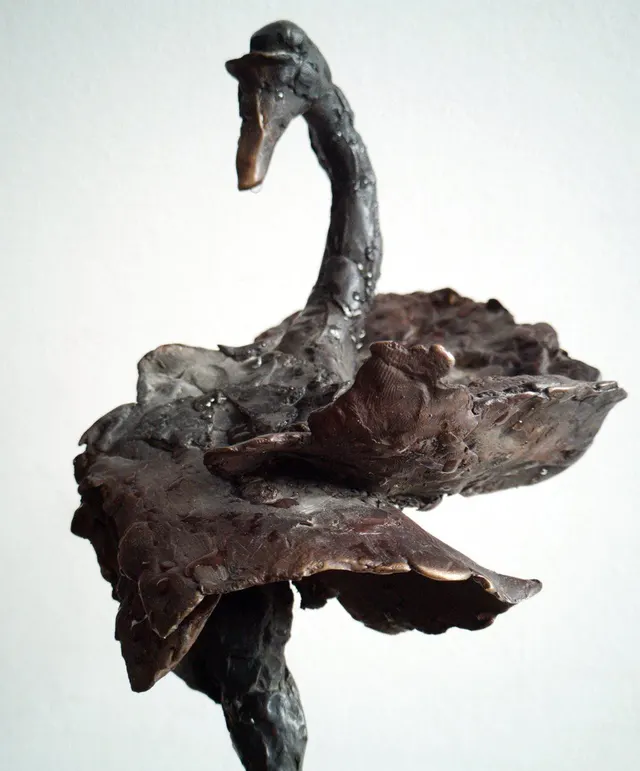 Swan (part)