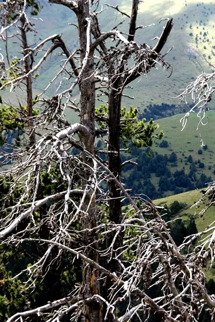 Andorra III