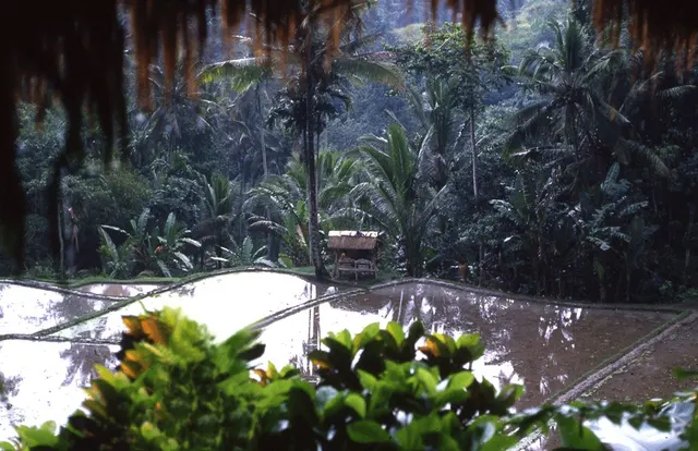 Bali I