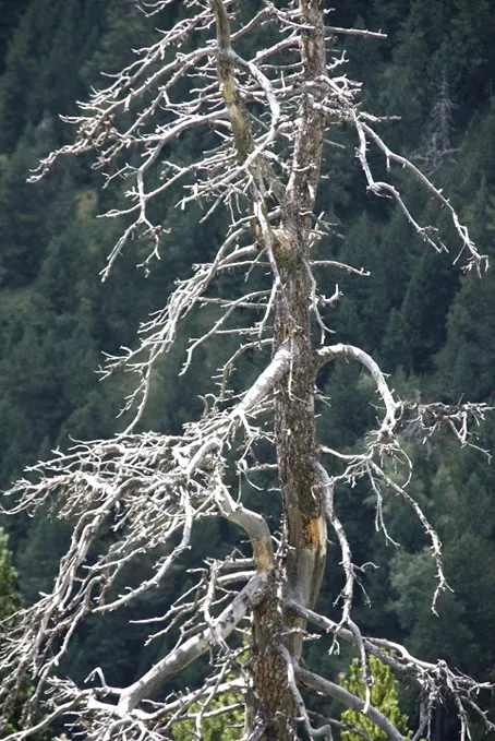 Andorra II