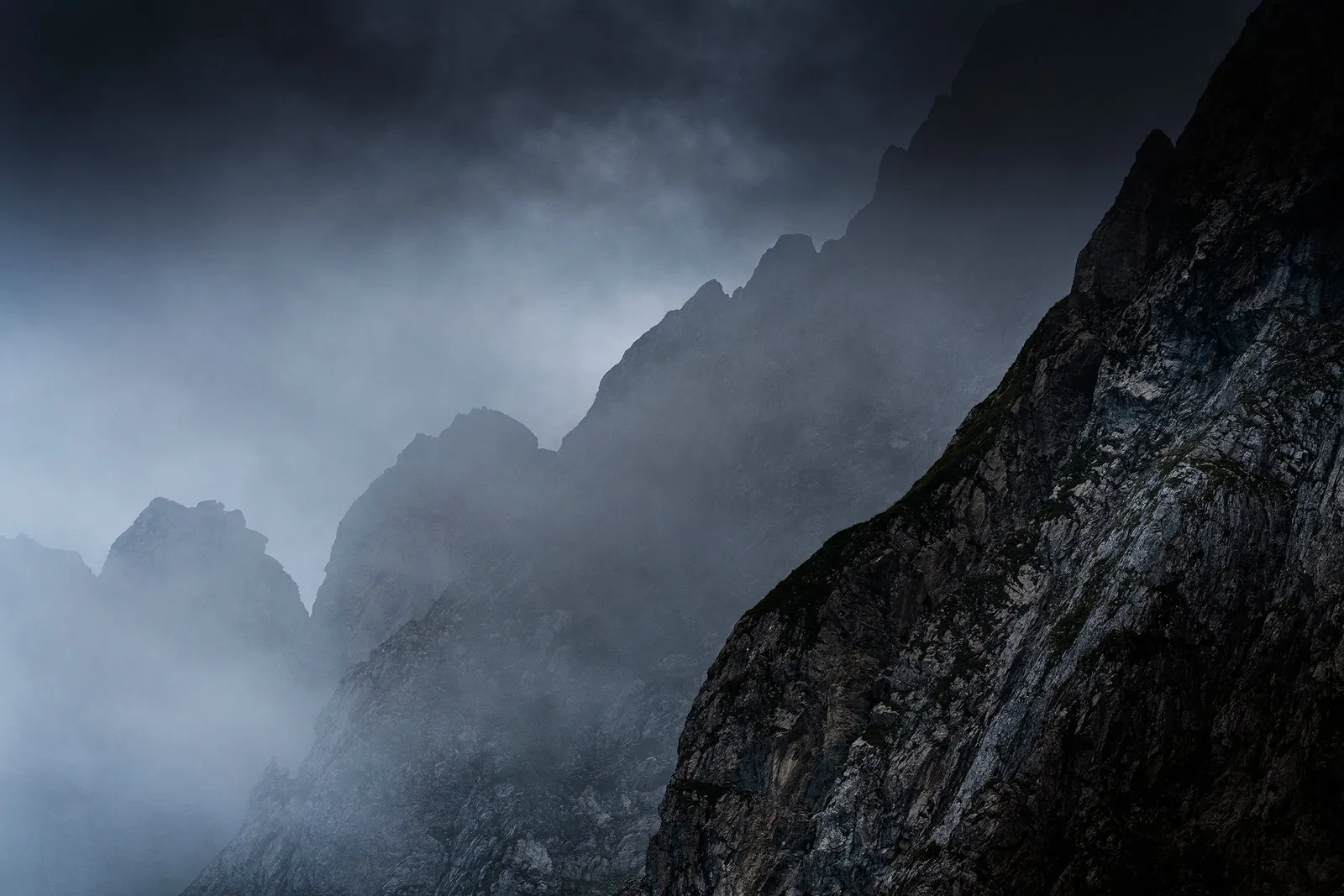 Dans la Brume