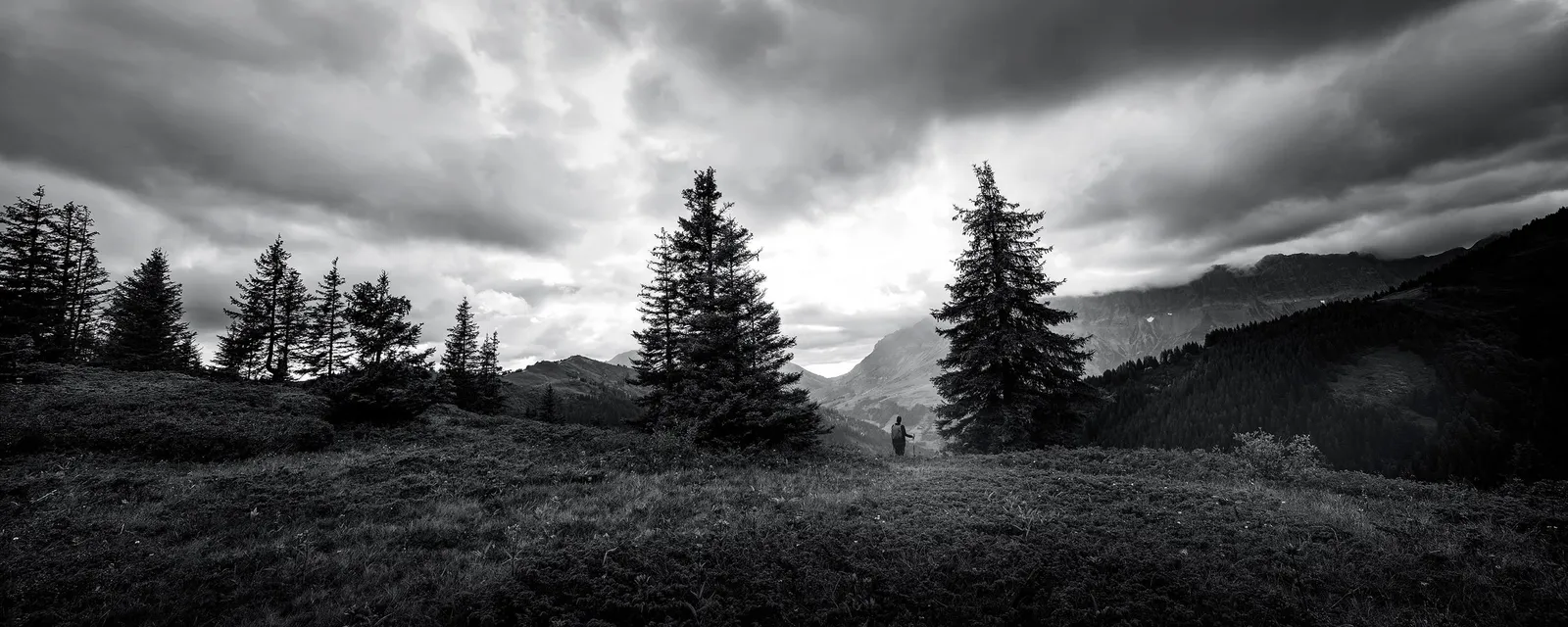 Le Trail