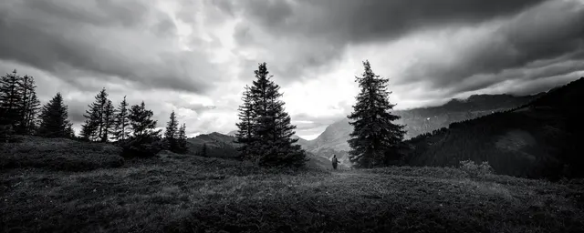 Le Trail