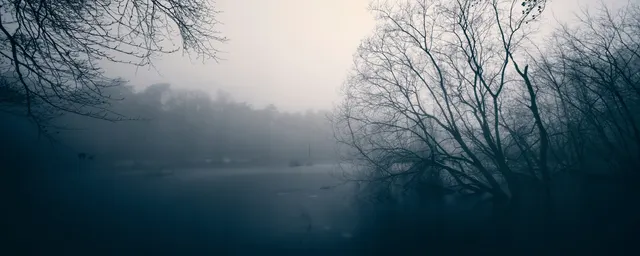 Silent Winter