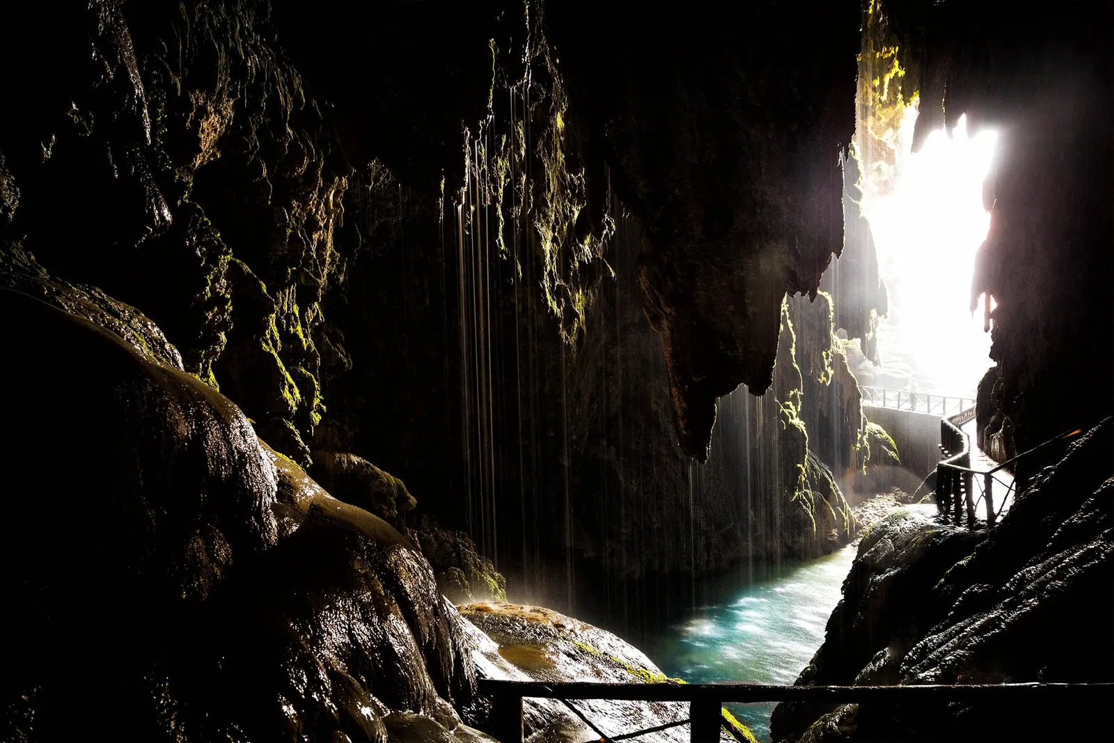 The Hidden Light