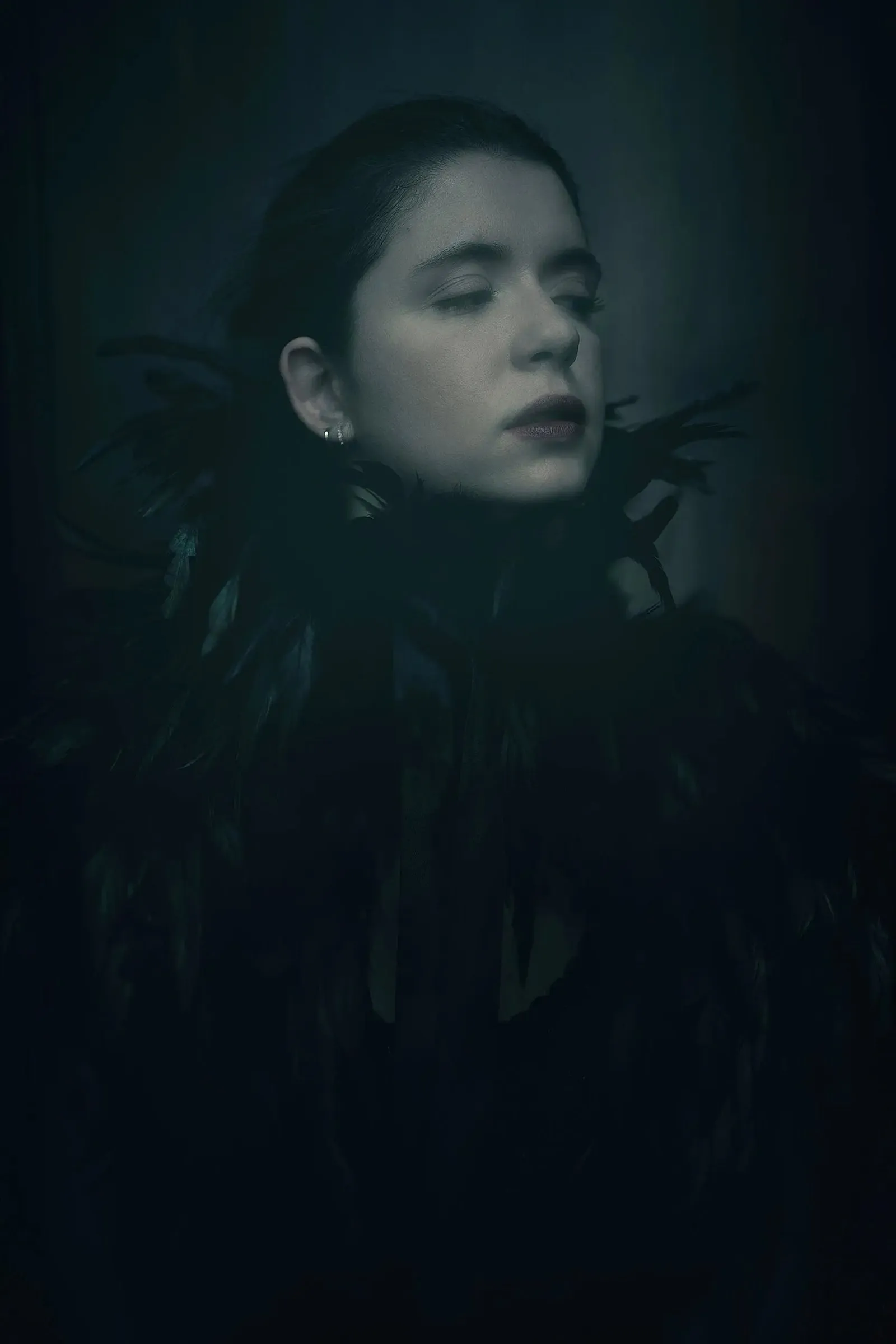 The Queen of Shadows