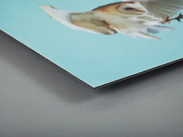 Aluminium Dibond. Photo: theprintspace