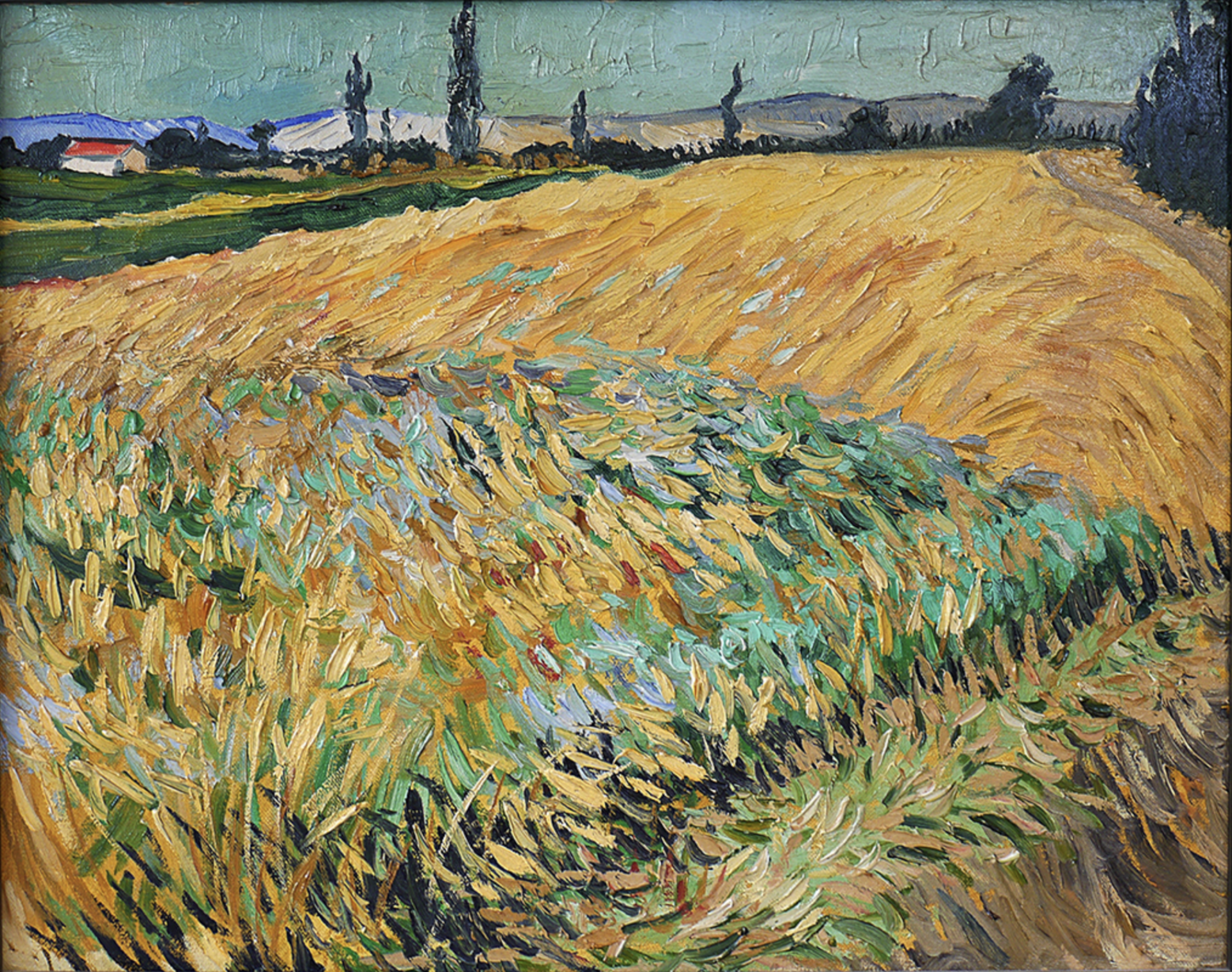 Interview Cornell van Loon - ‘I fancied my own ‘Van Gogh’ on the wall’