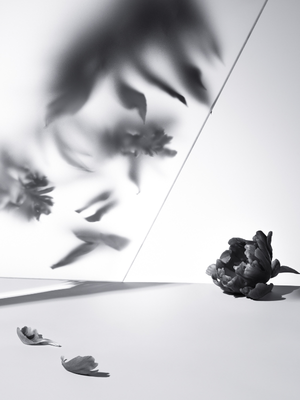 Editor's pick: black and white fine art photography