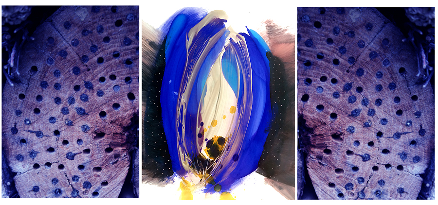Interview Norti Art: Part of the grand total