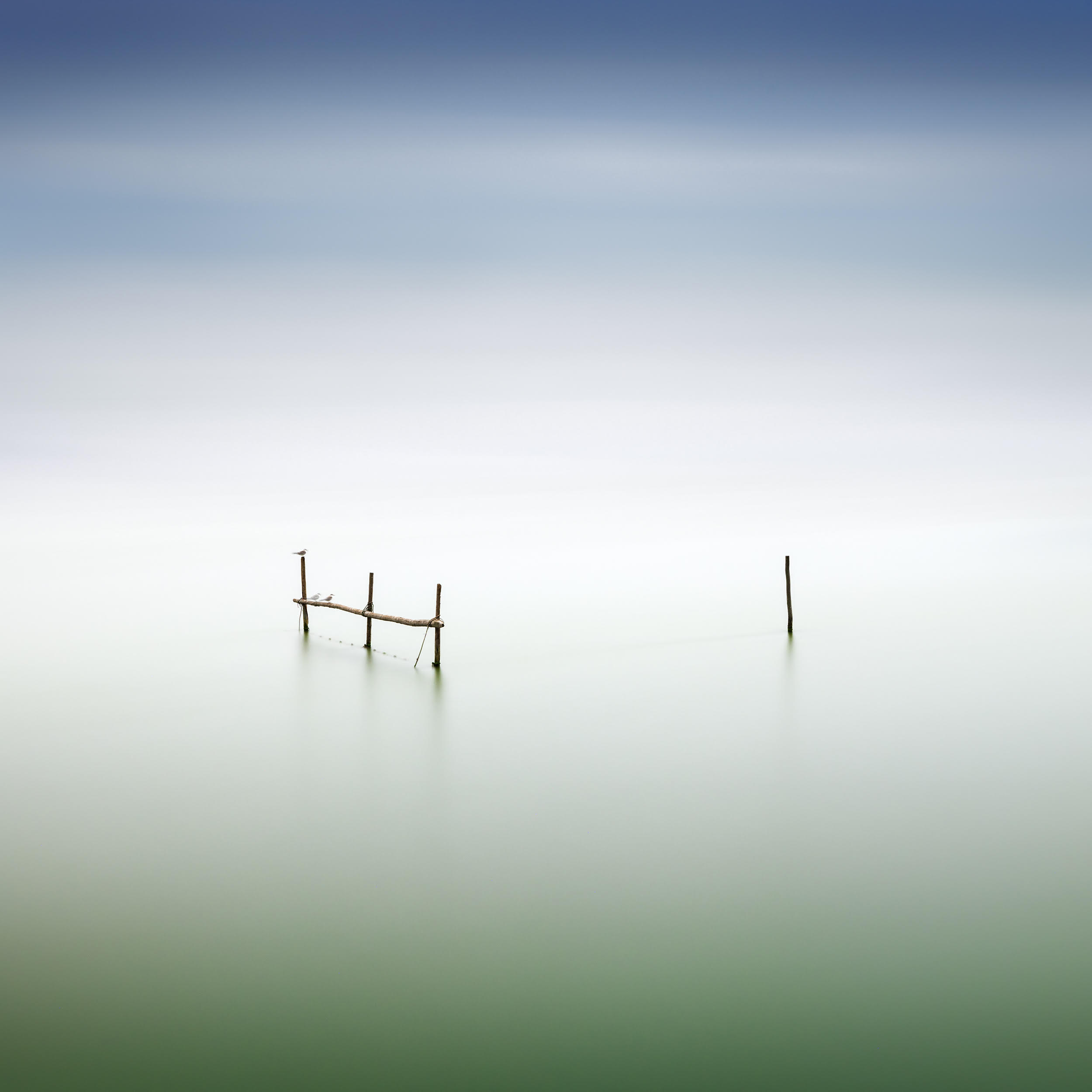 Golden Award for Zeeland-Flemish Photographer Frank Peters at Tokyo Foto Awards