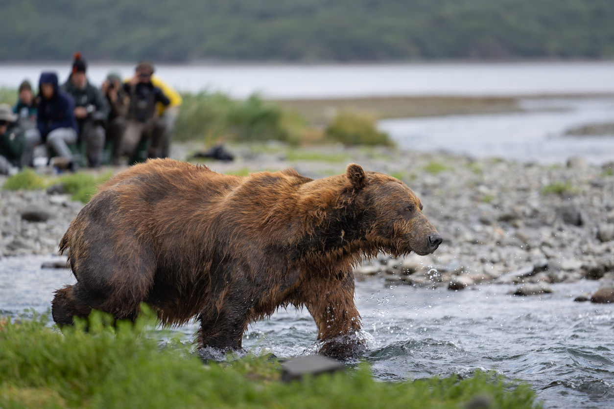 Sustainable Photography Wilderness Capturing: Techniques and Ethics in Focus
