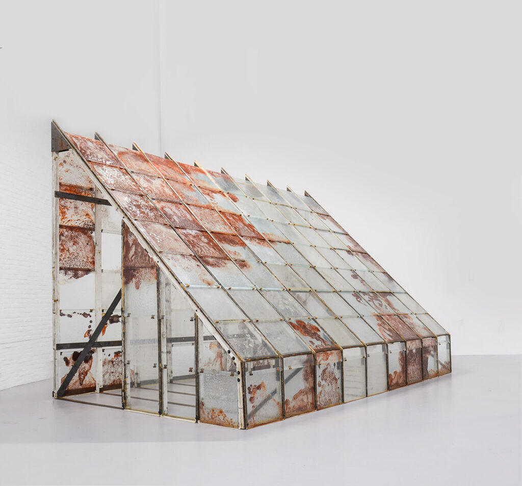 Ster Borgman: An Alchemist in Art and Nature