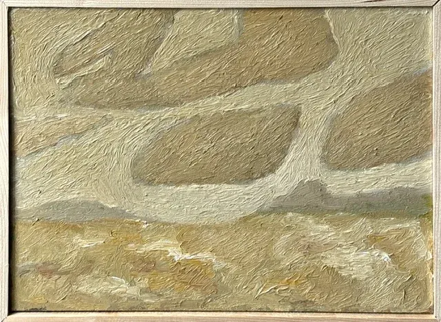 landschap 710