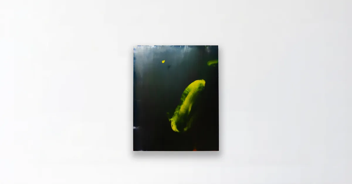 galerie frank elbaz