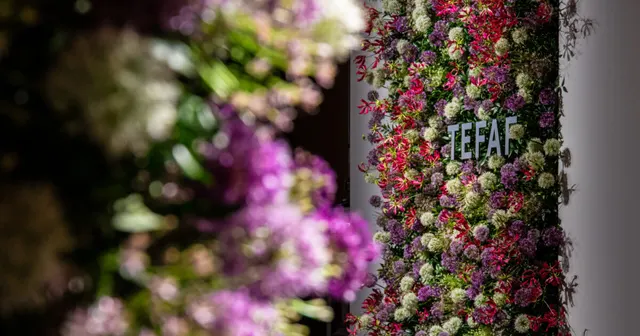 TEFAF Maastricht