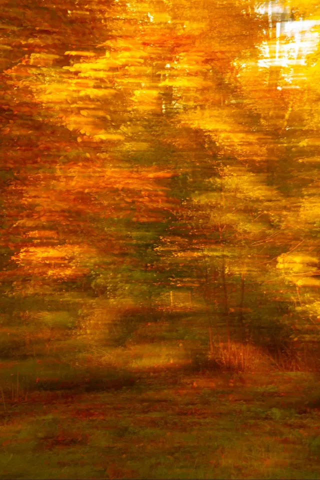 Autumn Dreams 12