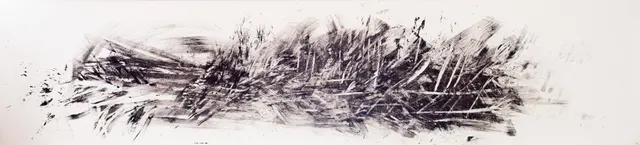 Riet ||