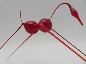 Glasbeest rood