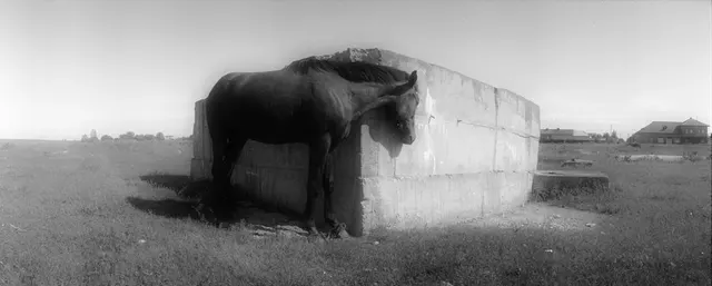 Cheval, Cache.Cache, Dobrogea