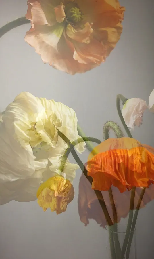 flora