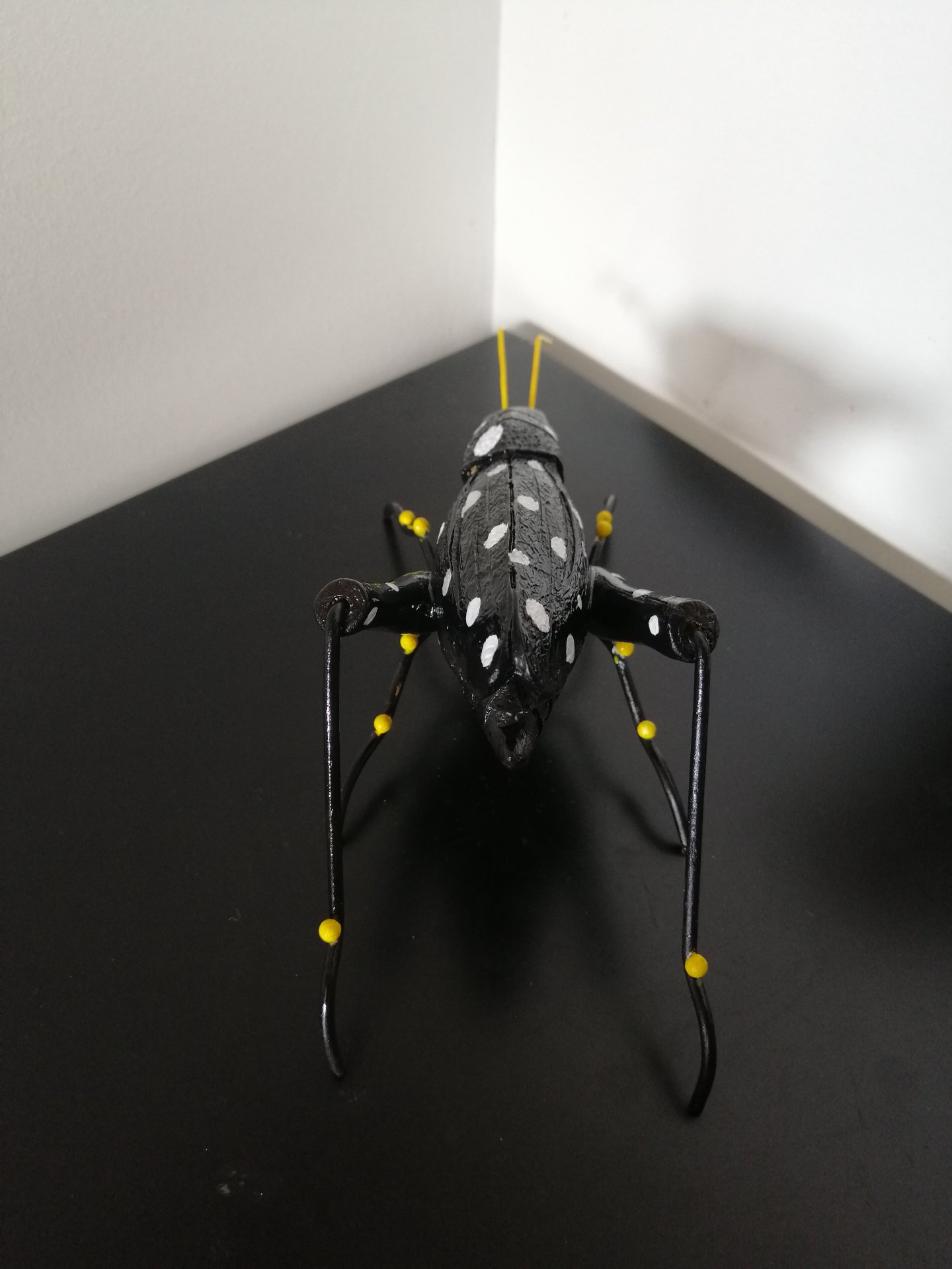 CRICKET